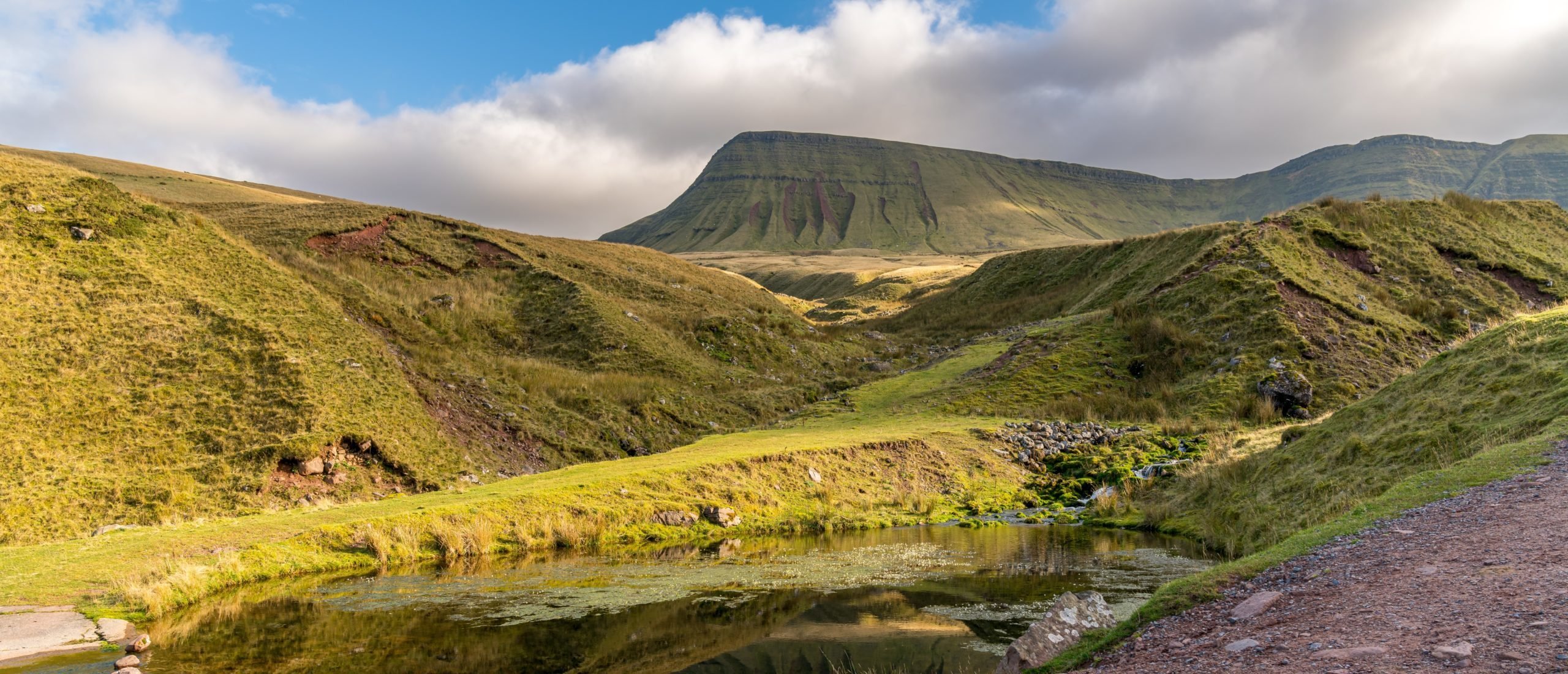 Featured image for "Discovery of Bizarre 565-Million-Year-Old Fossils in UK Unveils Earth's Early Complex Lifeforms"