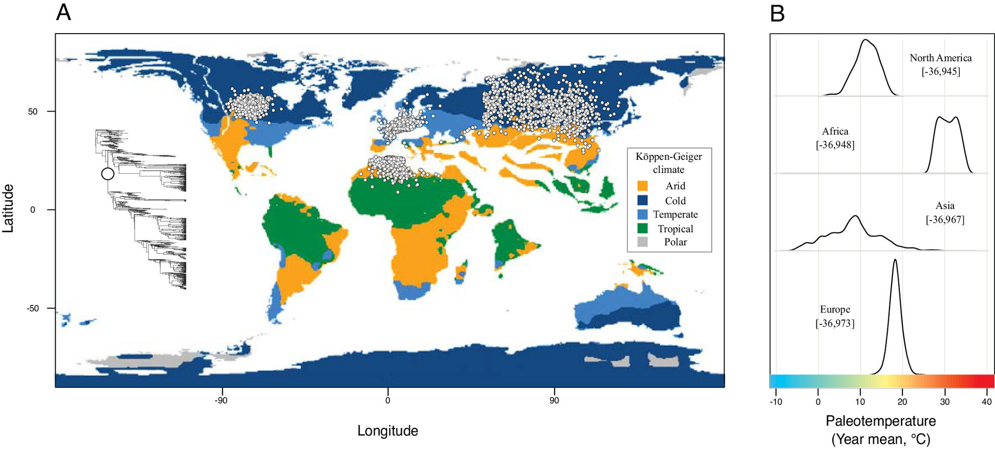 Featured image for Fossil Evidence Shows Early Primates Originated in Cold Climates
