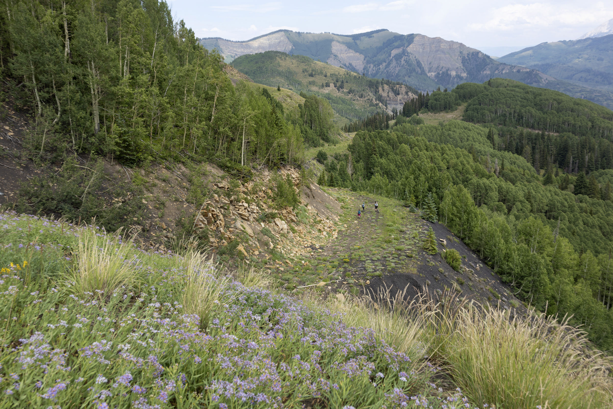 "Colorado's Thompson Divide: Biden Administration Halts Mining and Drilling on 222K Acres"