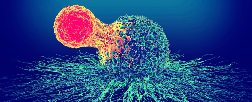 Revitalizing Exhausted Immune Cells to Eliminate Late-Stage Tumors