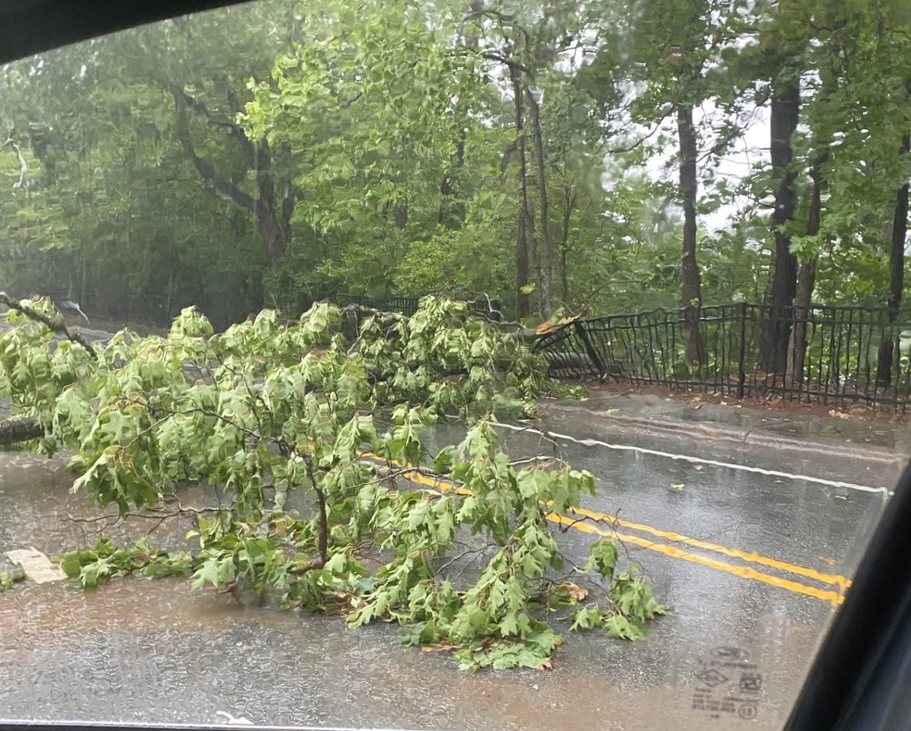 Severe Storms Cause Widespread Damage and Power Outages in North Carolina