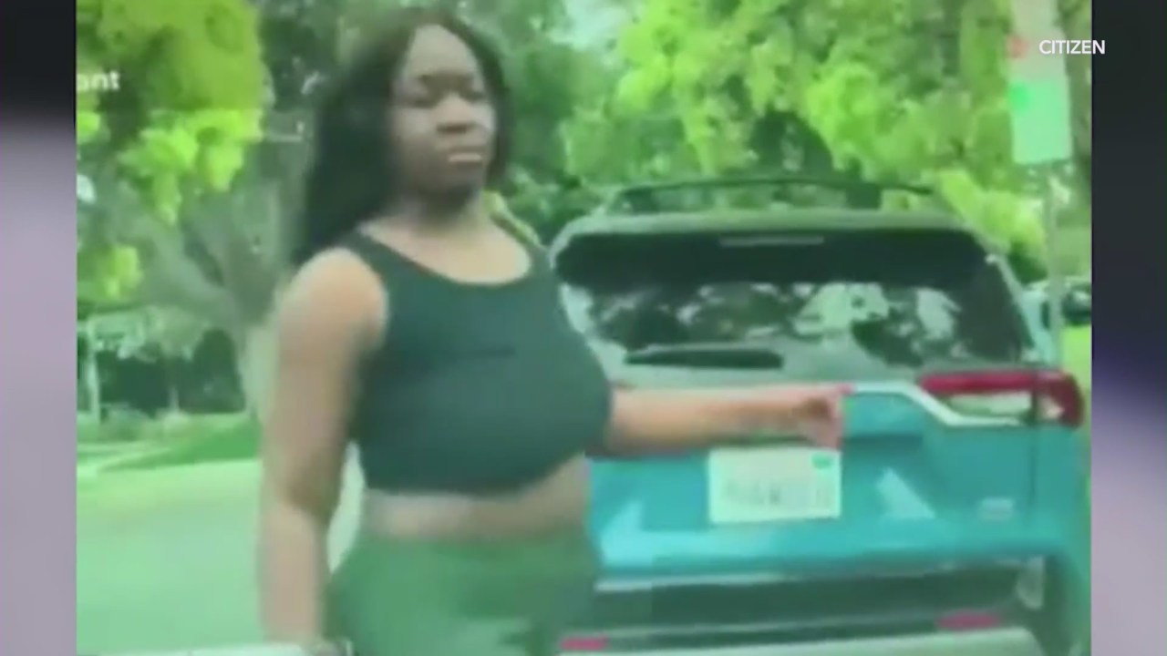 Rampage in LA: Woman Faces Multiple Charges for Vandalizing Cars