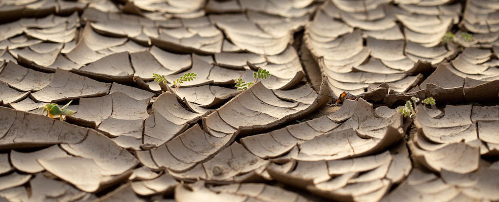 Featured image for South Africa's Land Is Rising Out of the Ocean, Scientists Discover Why