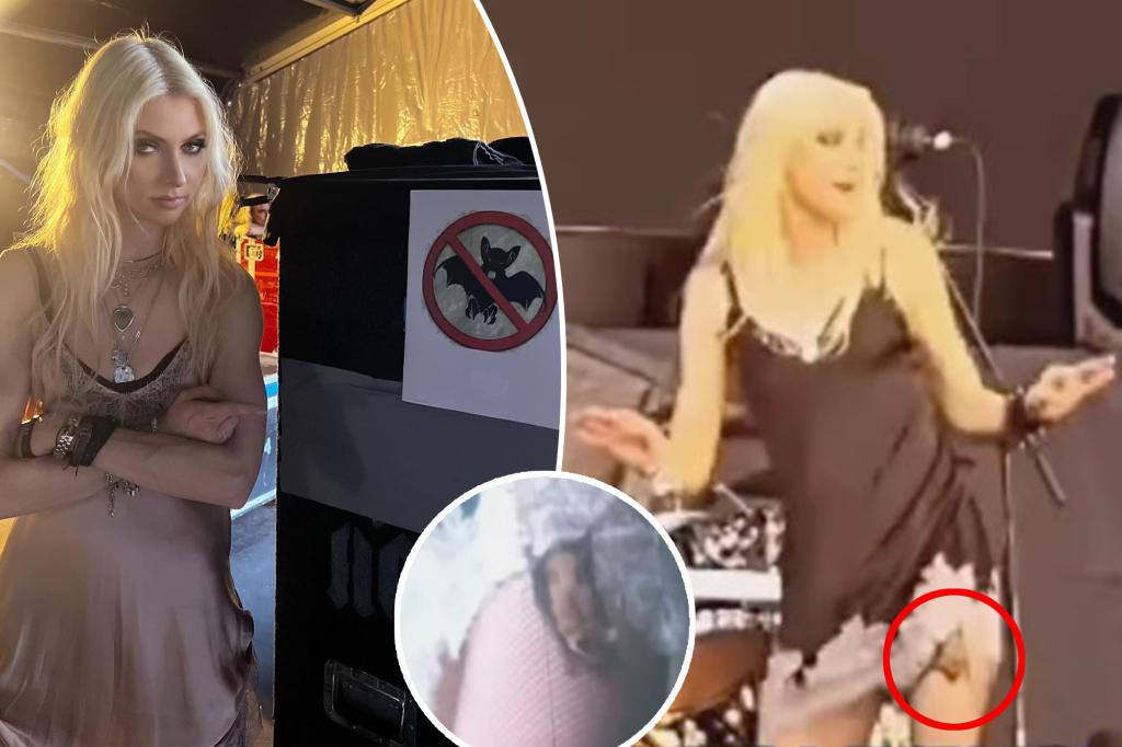 Featured image for Taylor Momsen Bitten by Bat During Concert, Needs Rabies Shots