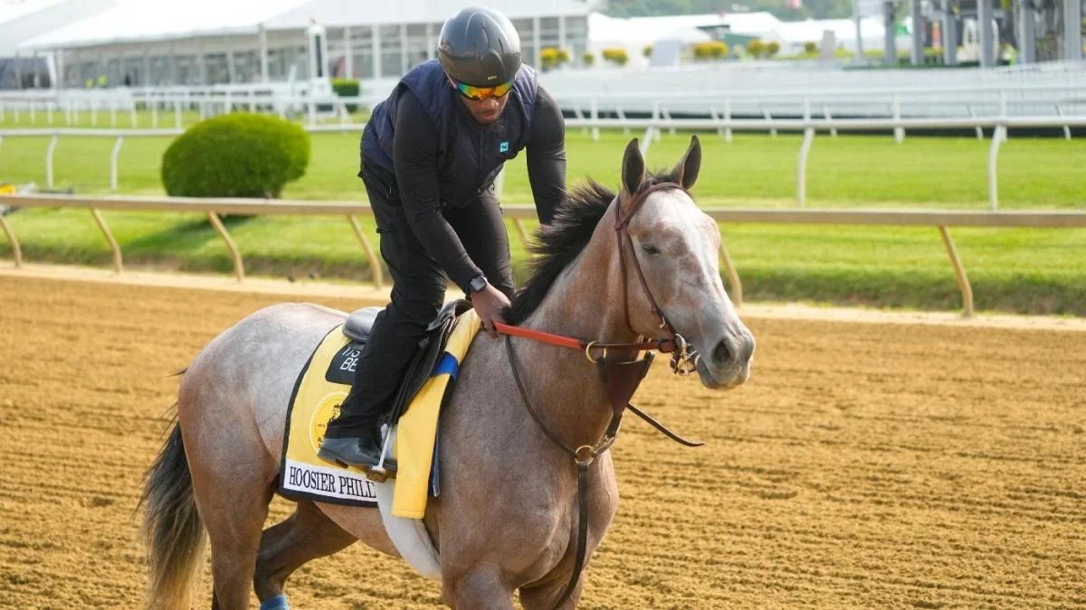 Expert predicts 2023 Preakness Stakes contenders and offers betting preview.