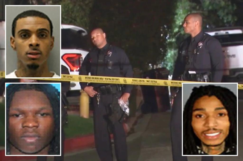 Three women killed in Chicago gang ambush shooting