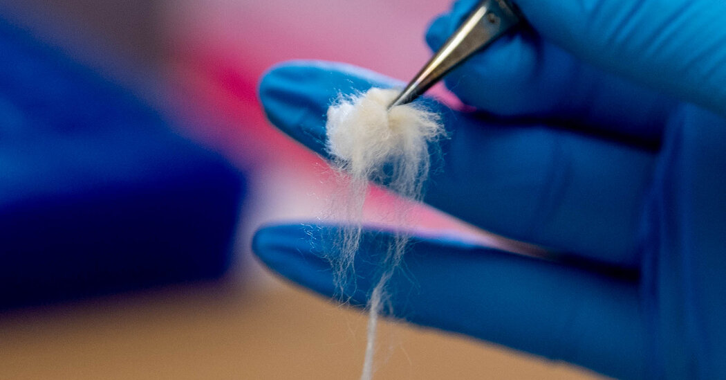 Cracking the Global Supply Chain Code with A.I. and DNA.