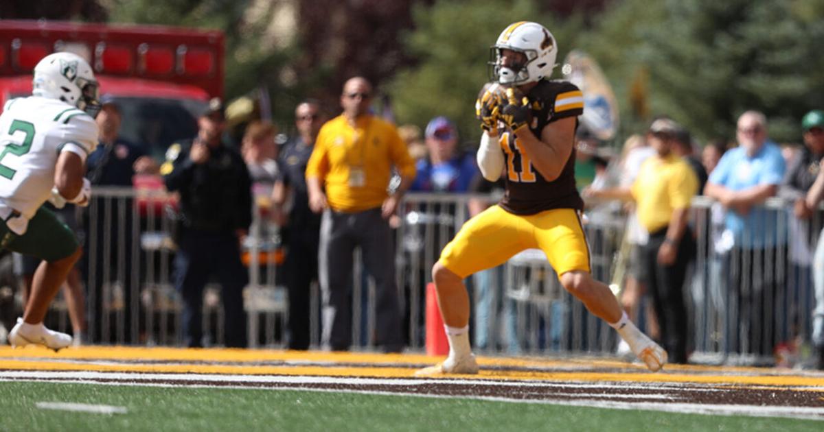 Wyoming Cowboys Dominate Portland State Vikings in 31-17 Victory