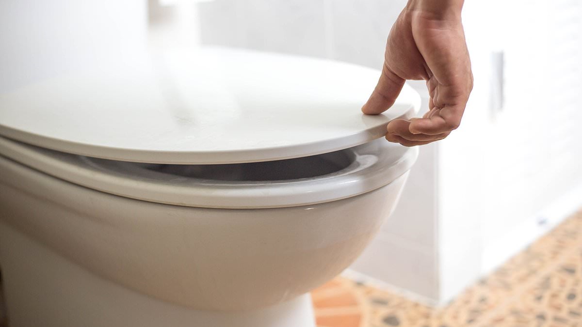 Featured image for "Toilet Lid Debate: Does Closing It Before Flushing Make a Difference?"