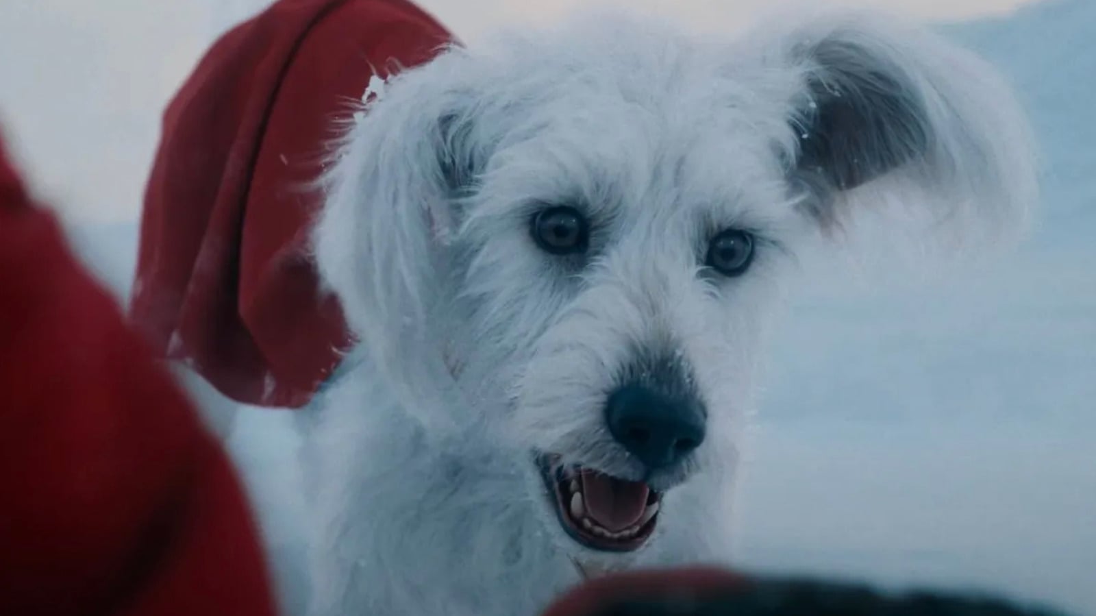 Featured image for Superman's New Movie Unveils Hidden DC Heroes and Surprising Cameos