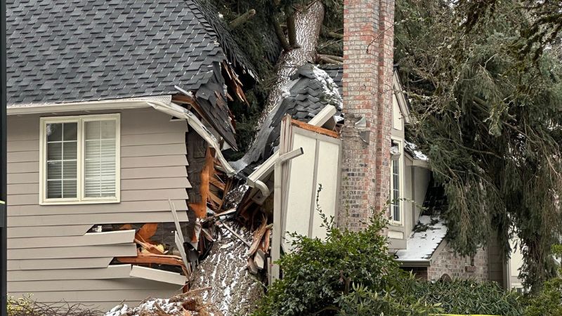 Featured image for "Deadly Tree Incidents Strike Lake Oswego and Portland Area Amid Extreme Weather"
