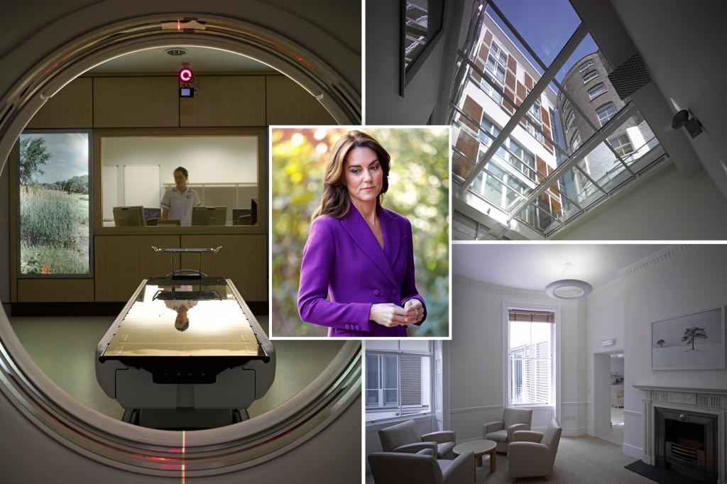 Featured image for "Privacy Breach at London Clinic: CEO Vows Disciplinary Action Over Kate Middleton's Medical Records"