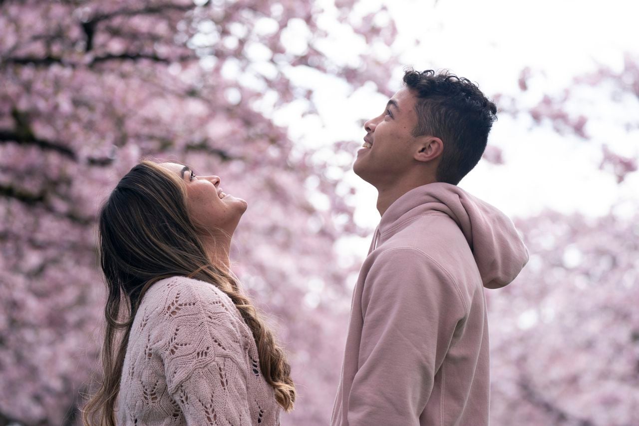 Cherry Blossom Season: Early Blooms in Tokyo and Portland.