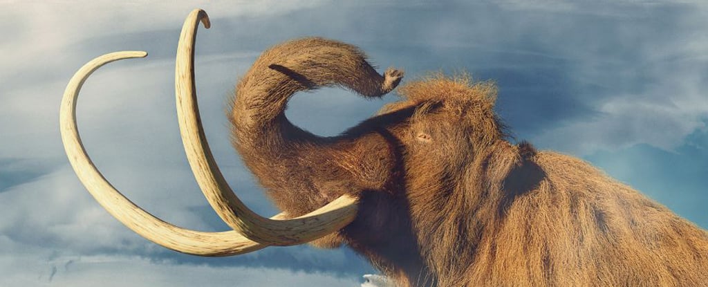 Featured image for "Woolly Mammoth's 600-Mile Journey Unravels Clues to Extinction"