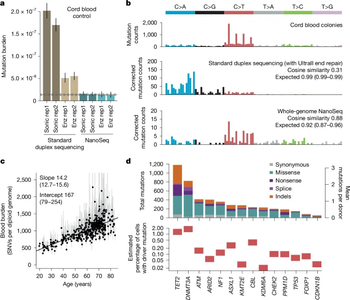 Population-scale Insights into Somatic Mutations and Cancer Prevention
