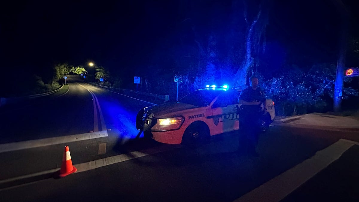 Armed Woman Fatally Shot After Ambushing Police in Florida Park