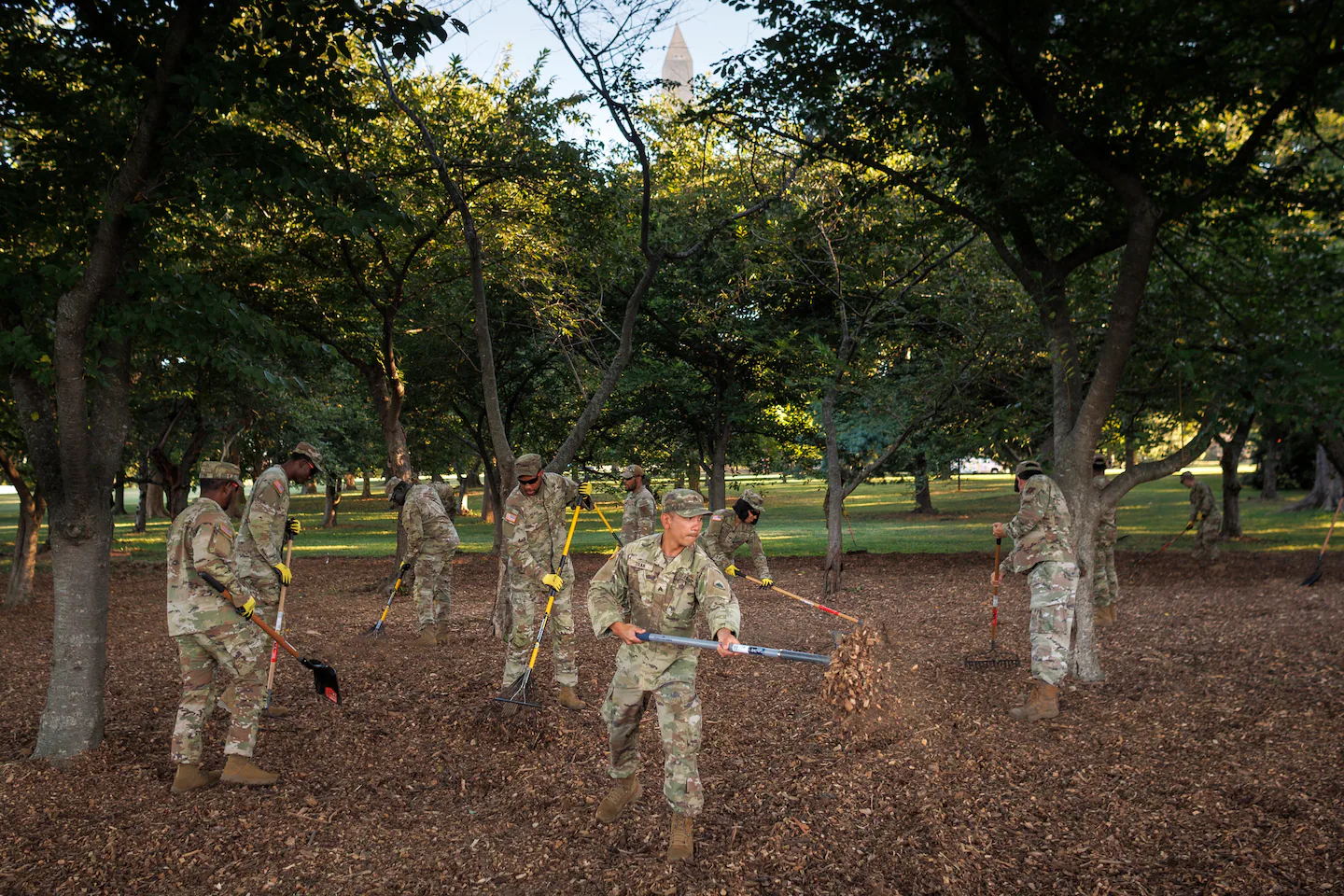 Featured image for National Guard in D.C. Engaged in Trash Cleanup and Beautification Efforts