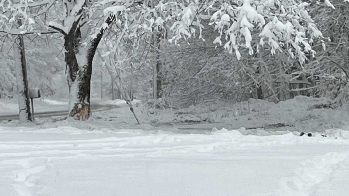 Featured image for "Fatalities Reported in Series of Littleton Crashes Amid Snowstorm Conditions"