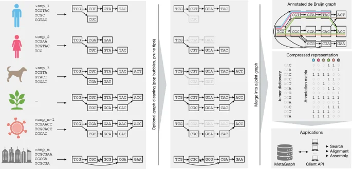 Featured image for Advanced DNA Search Engine Enhances Genetic Data Analysis