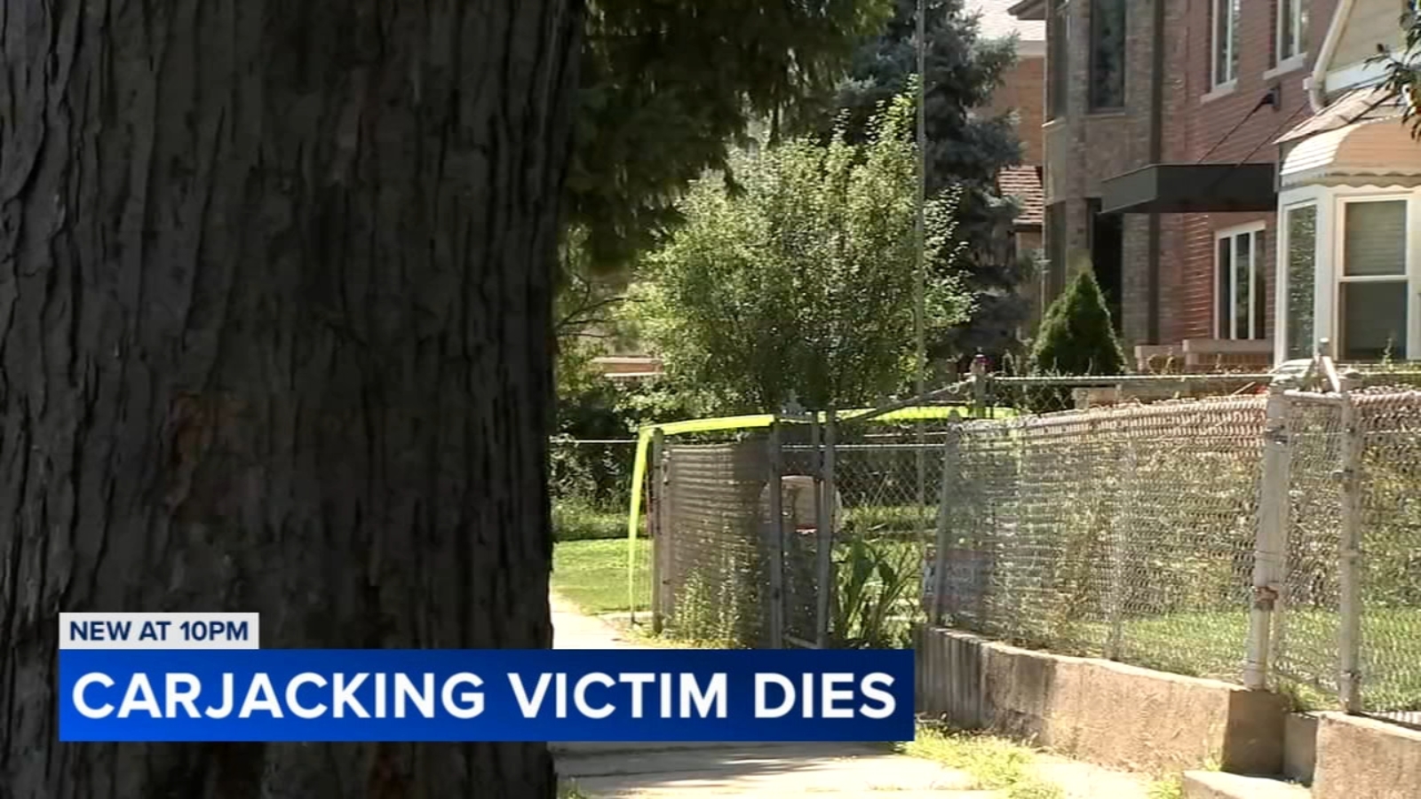 "Tragic Death of Ma L. Operio in Harwood Heights Carjacking: Suspect Denied Bail"