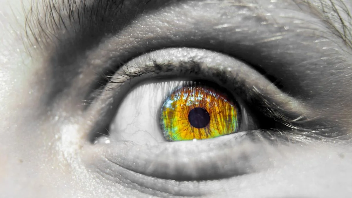 Ocean Deoxygenation Emerges as Earth's 10th Planetary Boundary