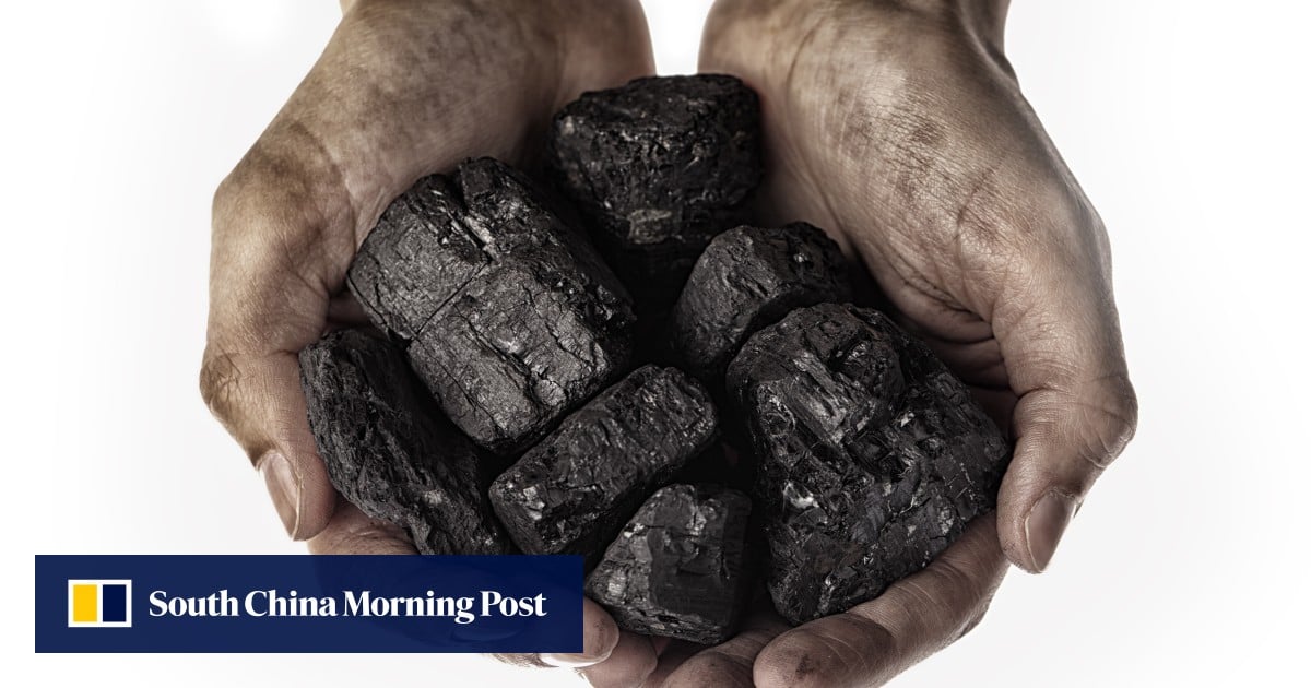 "Coal-to-Protein Breakthrough: Chinese Scientists Make Strides in Sustainable Food Production"