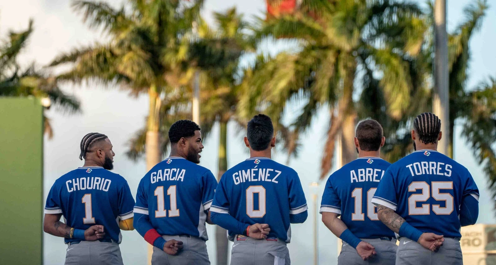 WBC Final Draws Record TV Audience