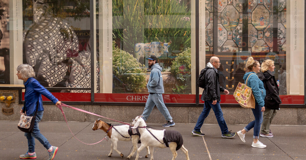 Featured image for "New York's Sidewalk Sideshows: A Tale of 2 Goats and Despair"