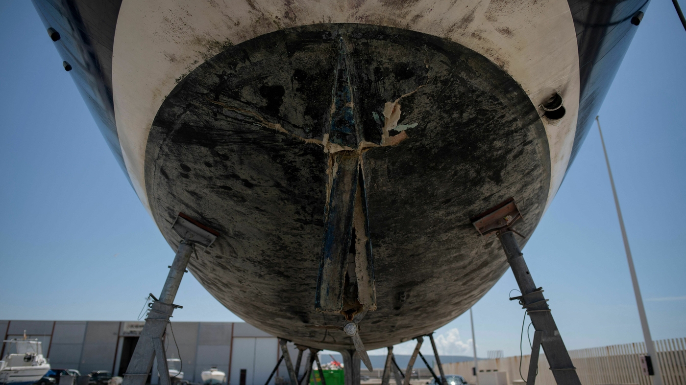 Featured image for Orcas' Boat Attacks Driven by Learned Behavior and Strategy Development.
