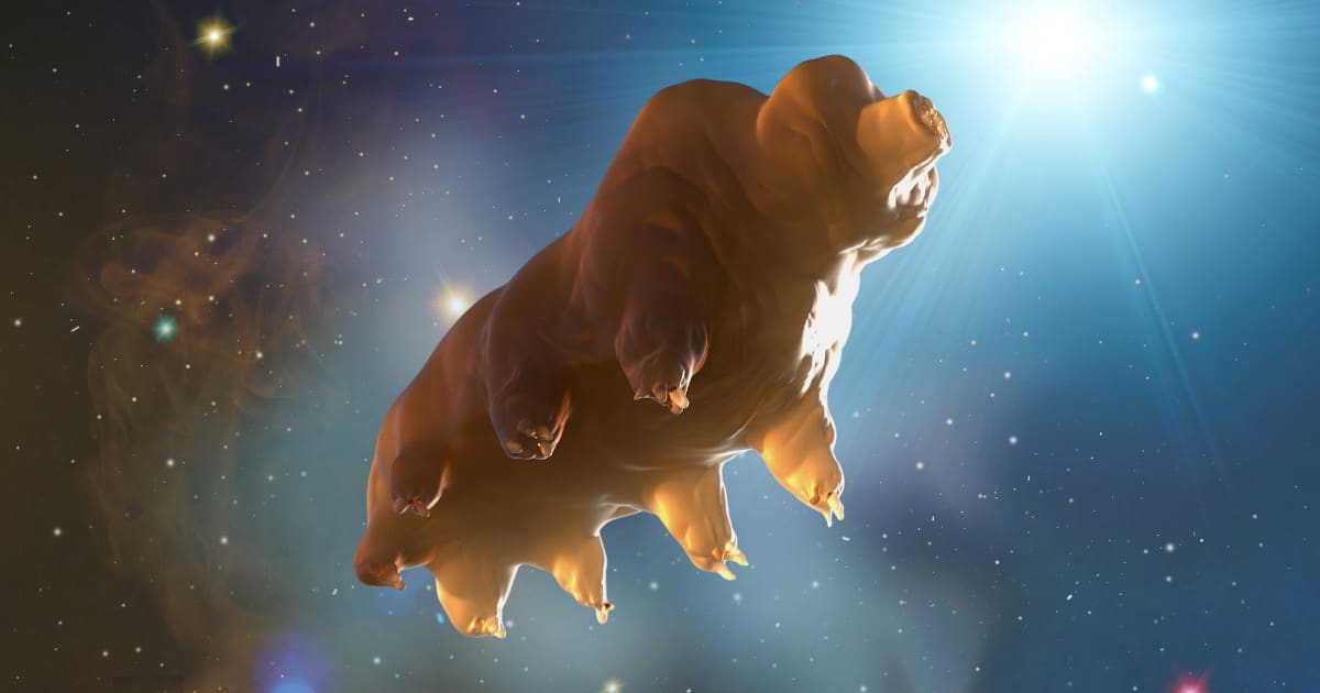 "Water Bears Hitch a Ride to the Moon on Crashed Lunar Lander"