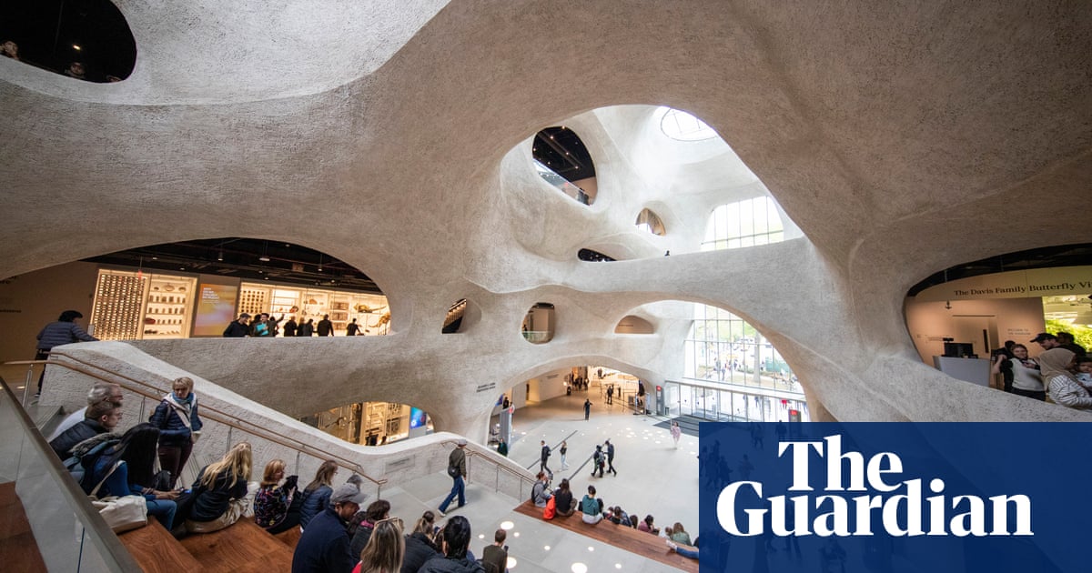"New York Museum Removes Human Remains Amidst Controversy"