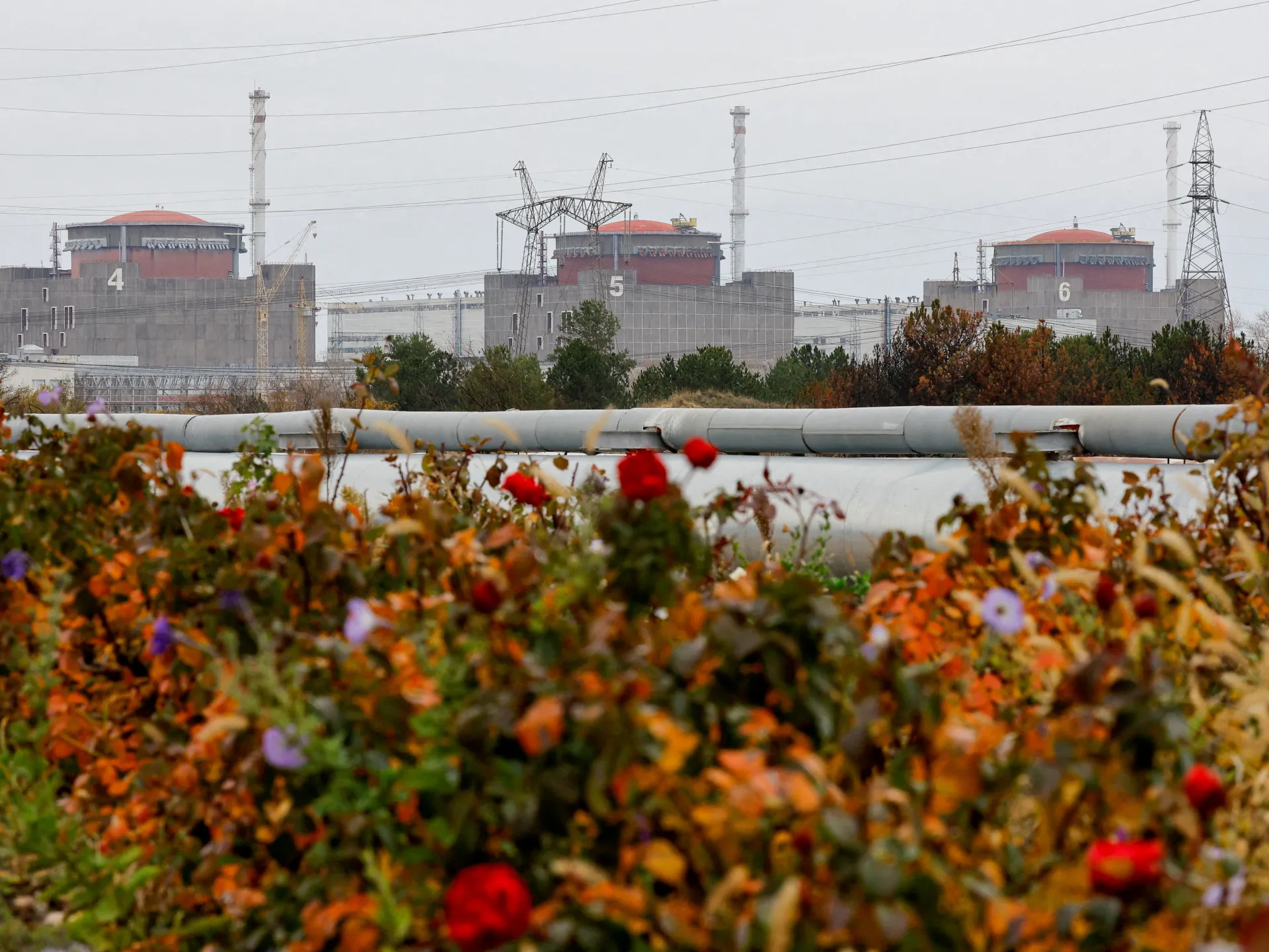 "Zaporizhzhia Nuclear Plant Targeted in Russia-Ukraine Feud"