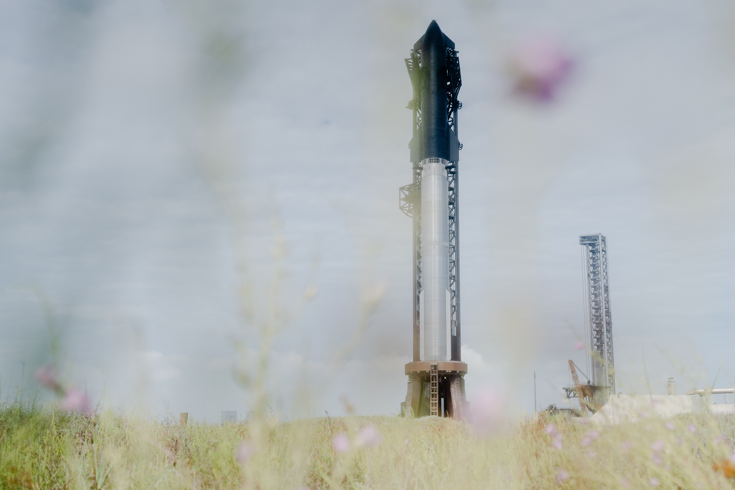 Featured image for Trump Administration Considers Land Swap for SpaceX in Texas Wildlife Refuge