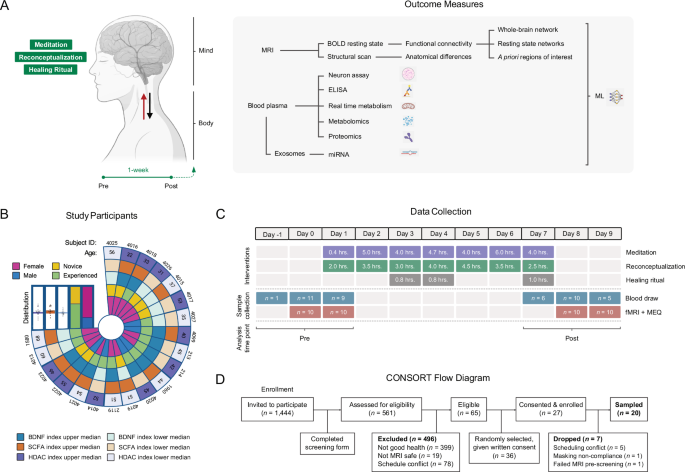 Featured image for Meditation Retreats Rapidly Reprogram Body and Mind, Study Finds