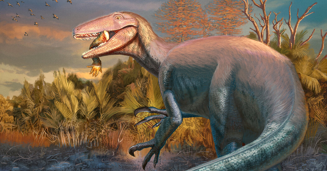 Featured image for New Megaraptor Fossil Reveals Its Crocodile Meal and Predatory Evolution