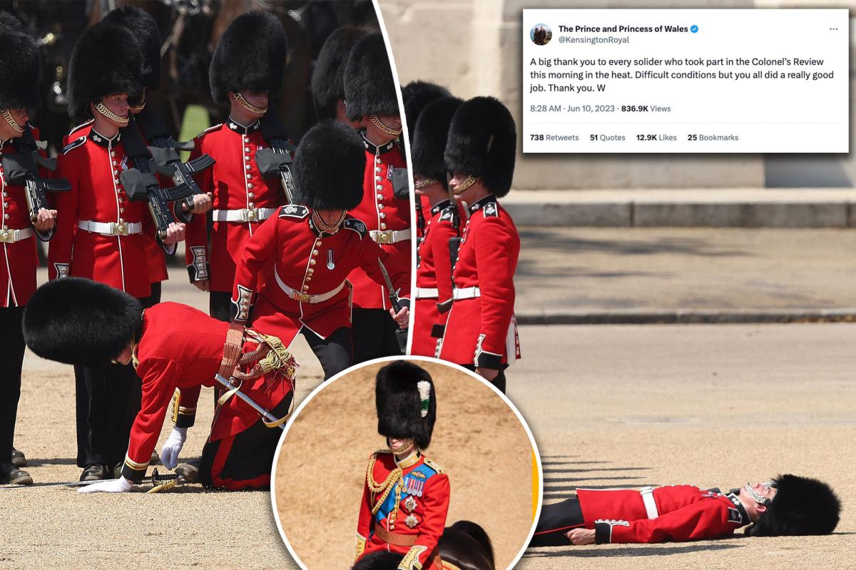Soldiers faint in scorching heat during Trooping the Colour rehearsal, Prince William expresses gratitude.