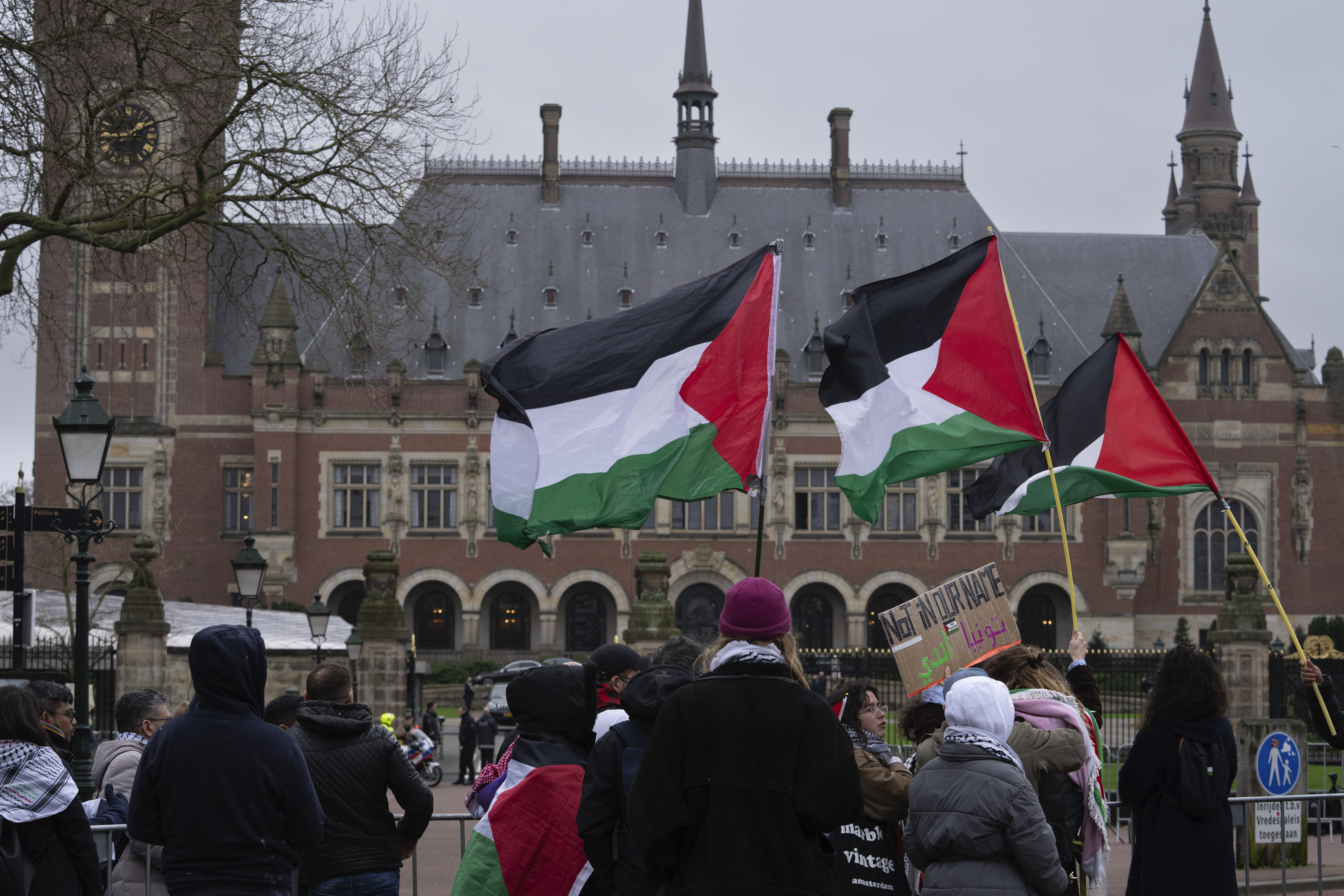 "Palestinian Diplomat Urges UN Court to Declare Israeli Occupation Illegal Amid ICJ Hearing"