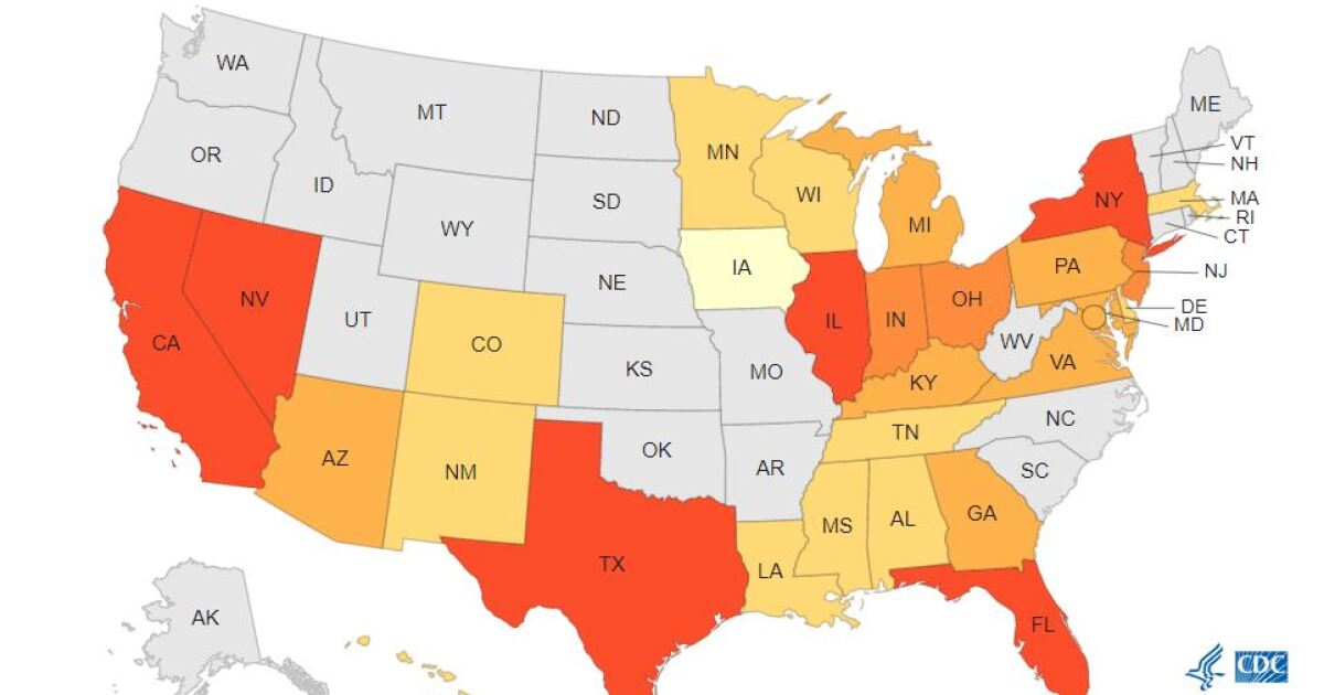 Featured image for CDC Issues Urgent Warning as Deadly Fungus Spreads Rapidly Across U.S.