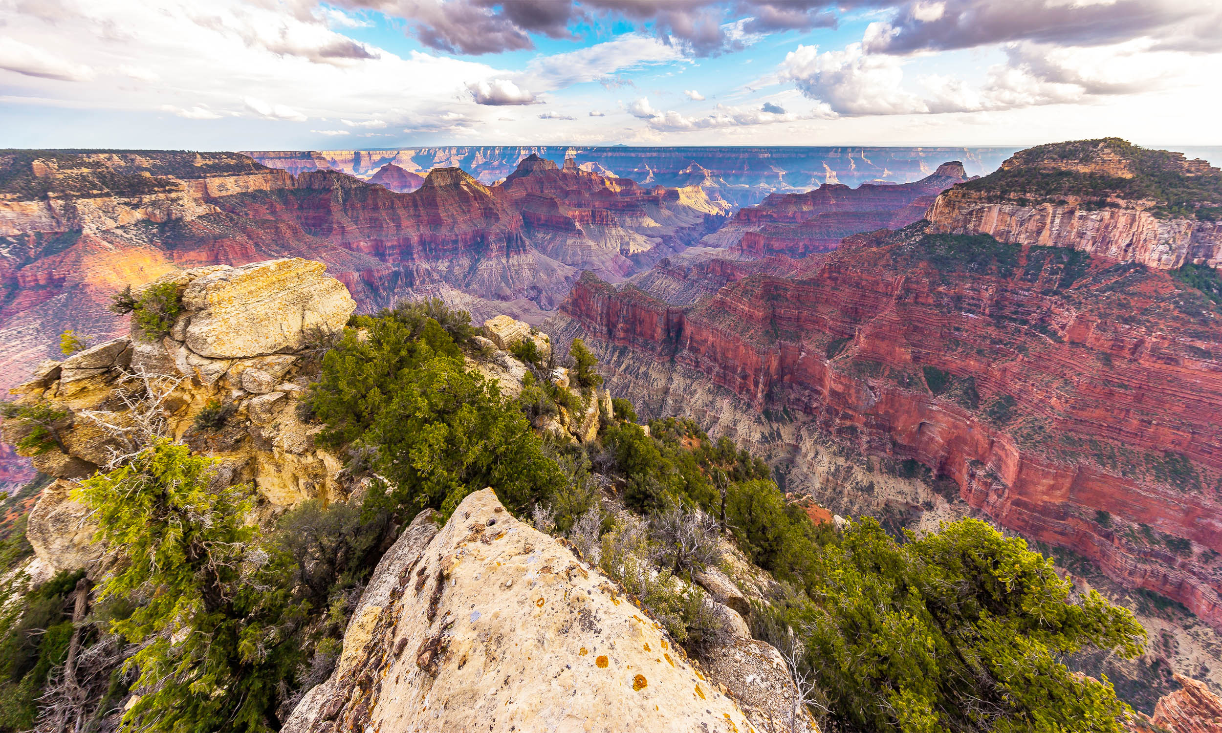 Grand Canyon Fossils Challenge Evolution and Geology Textbooks