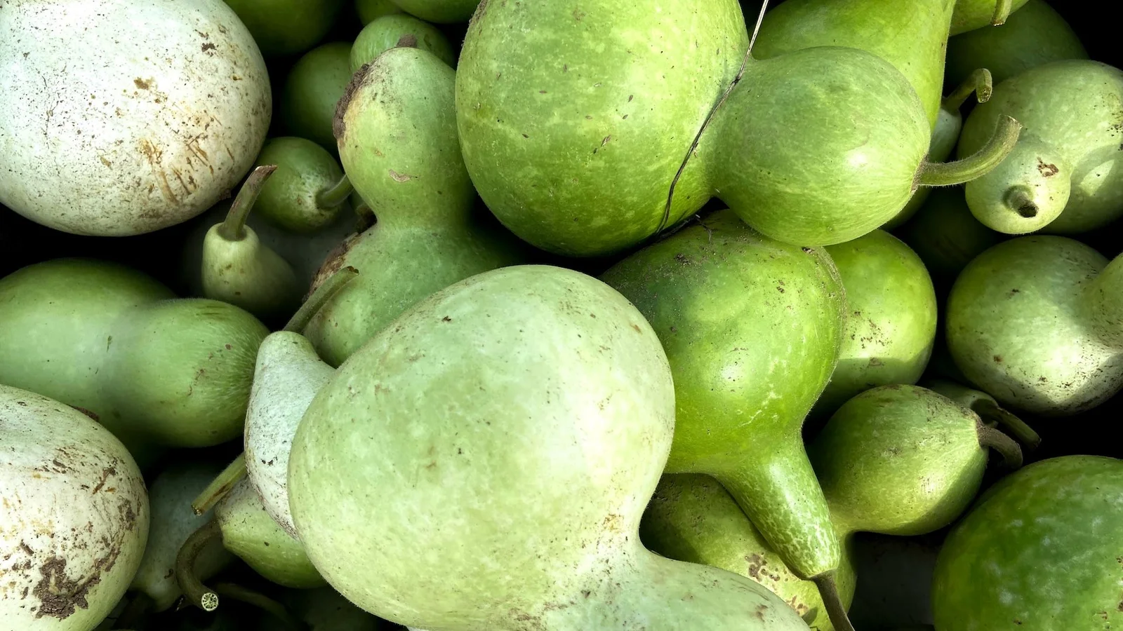 Woman's Homemade Juice Causes Life-Threatening Toxic Squash Syndrome