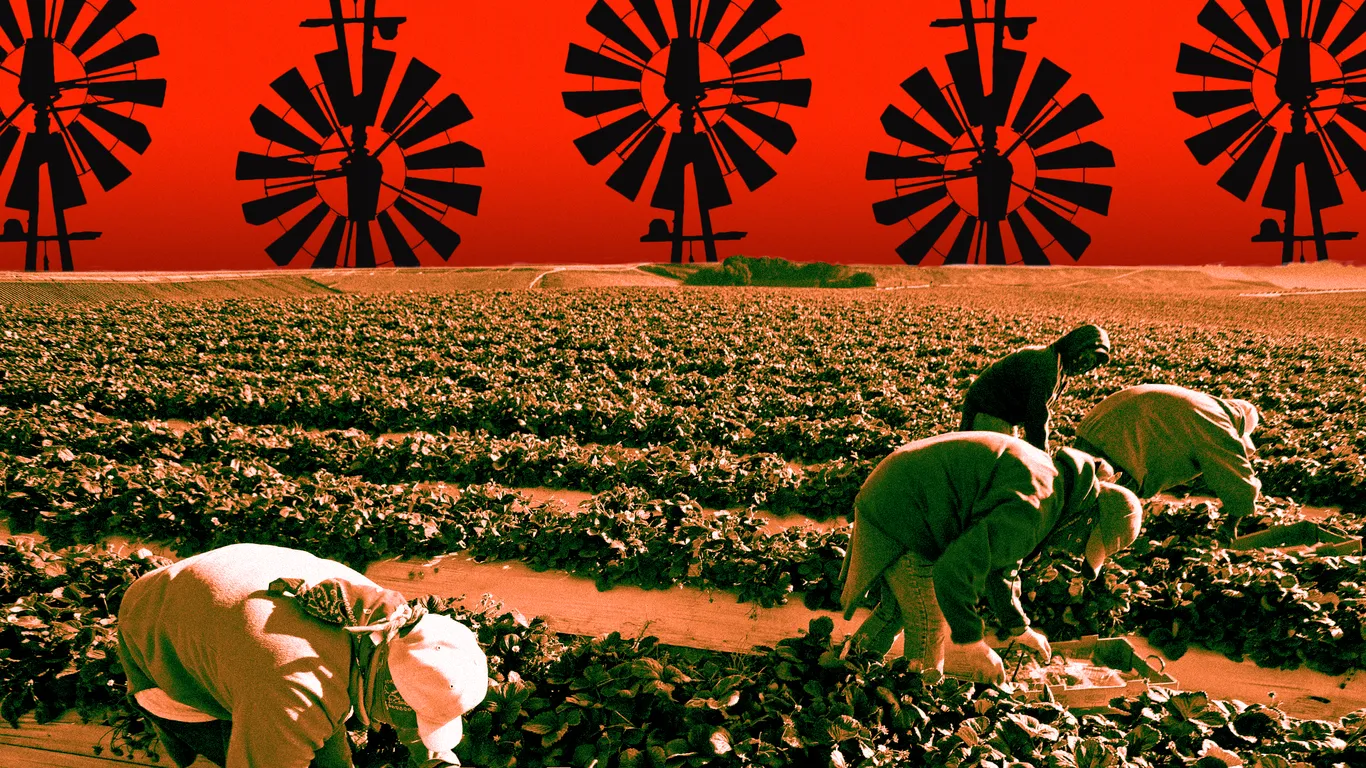 Trump's Views on Ethnic Stereotypes and Migrant Farm Labor