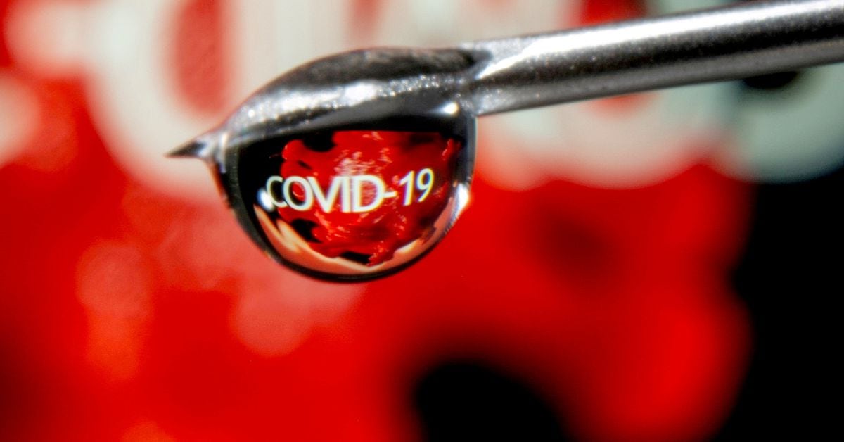 Global Spread of Highly Mutated COVID Variant Raises Concerns