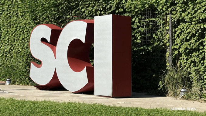 Featured image for Climbing Hazard at Harmony Park in Arlington Heights