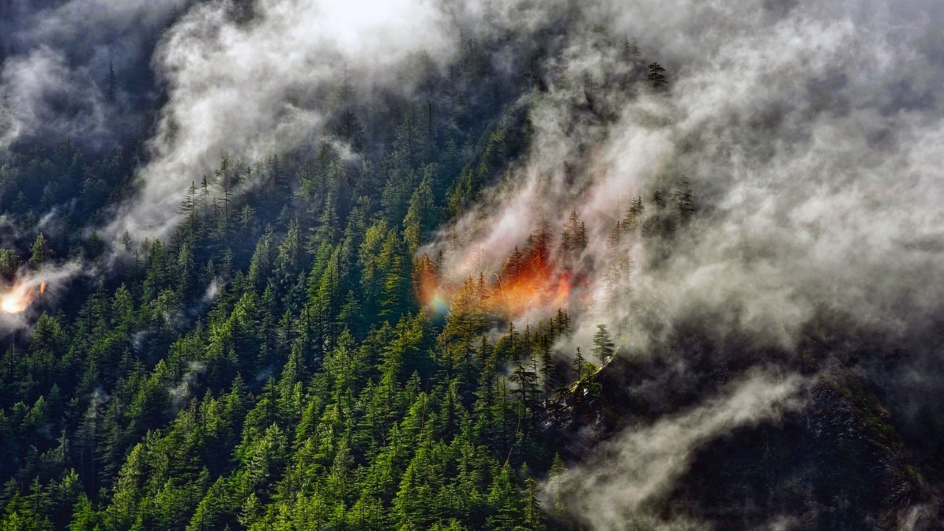 Featured image for Wildfire Smoke's Hidden Impact on Earth's Climate
