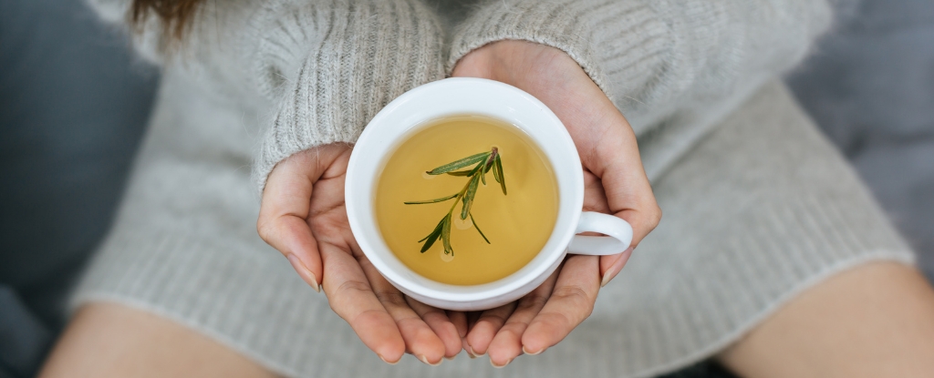 Featured image for Hot Drinks May Significantly Increase Cancer Risk, Experts Warn