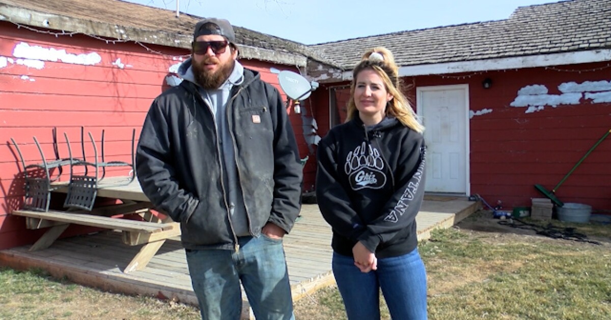 Featured image for "Mold Crisis Imperils Fort Benton Family Ranch"