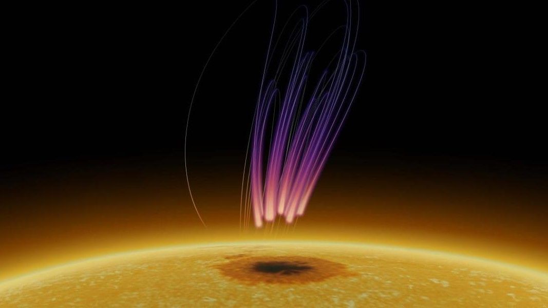 Unprecedented Discovery: Aurora-Like Phenomena Observed on the Sun's Surface