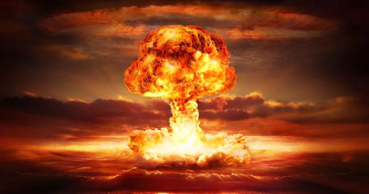 Featured image for "Seaweed: The Key Food for Human Survival in a Nuclear War"