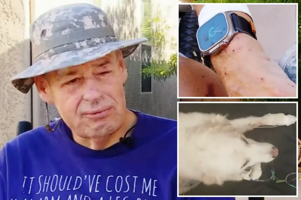 Arizona Man and Dog Attacked by Swarm of Killer Bees, Suffering Hundreds of Stings