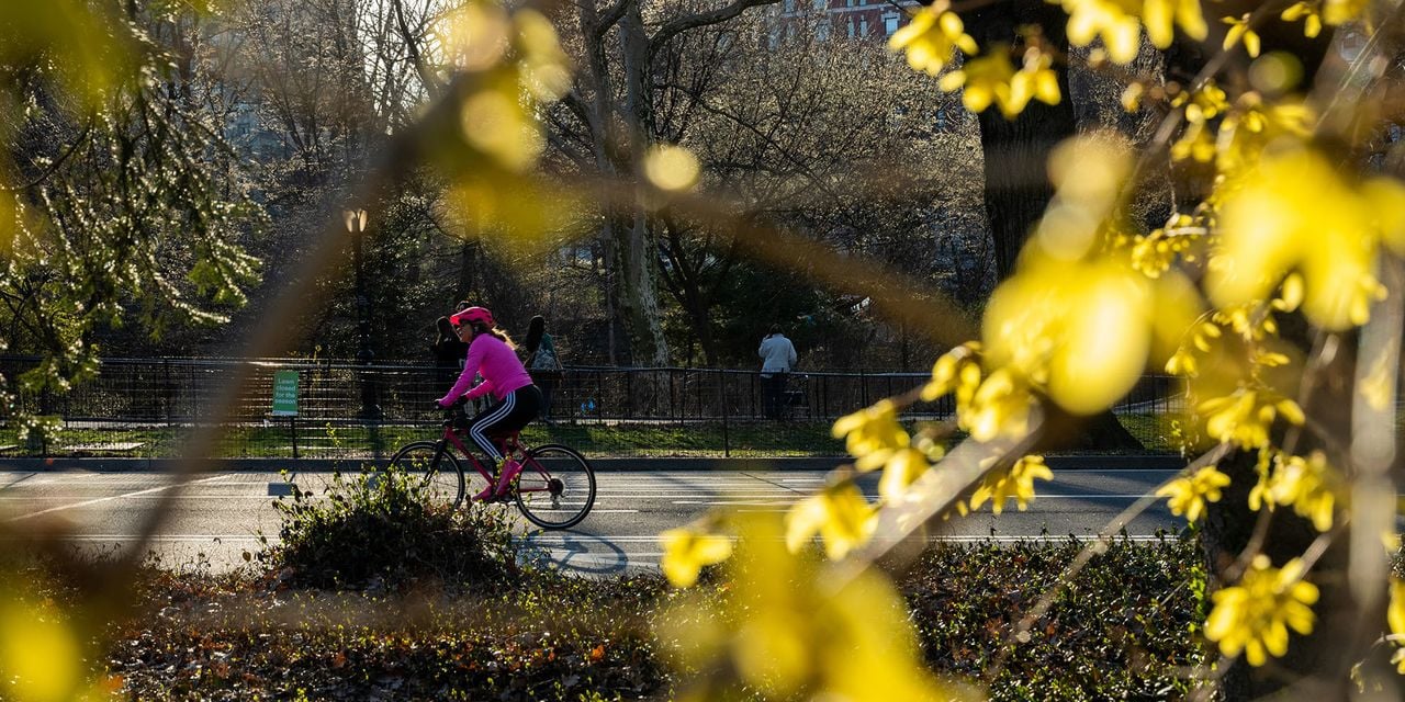 Featured image for Pollen season wreaks havoc on allergy sufferers across the US.